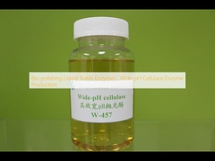 การเคลือบชีวภาพ เอ็นไซม์เท็กสติลเหลว การผลิตเอ็นไซม์เซลลูลาเซ่